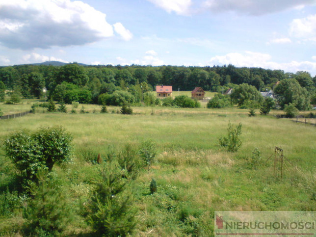 Działka Sprzedaż Szczepanów 1