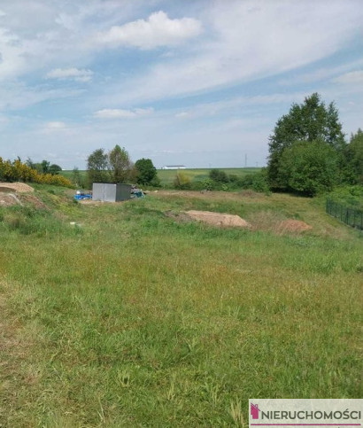 Działka Sprzedaż Wierzbna 1