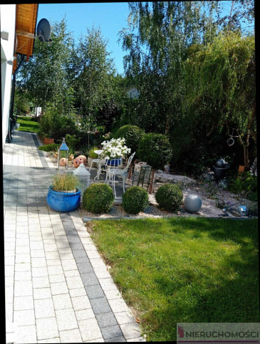 Dom Sprzedaż Świdnica 14
