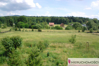 Działka Sprzedaż Szczepanów