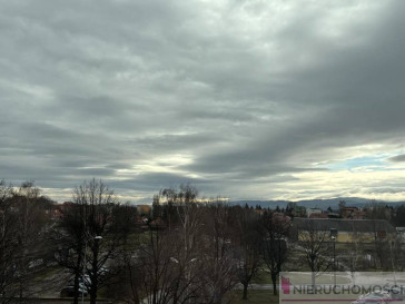 Mieszkanie Sprzedaż Świdnica