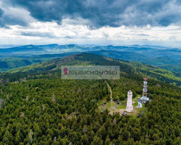 Mieszkanie Sprzedaż Pieszyce